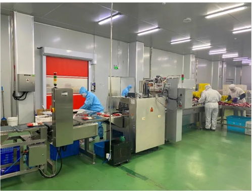 陣容強大，明天再聚青島 金融服務的新征程