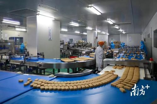 東莞市政府發布2022年一號文，大力推動數字經濟高質量發展與金融服務深度融合