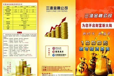 金融服務(wù) 您的財富增長與安全保障專家